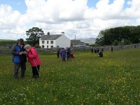 Visitors identify wildflowers in the Great Meadow.