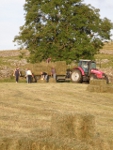 Leading hay bales in the Higher Stackbottom meadow.