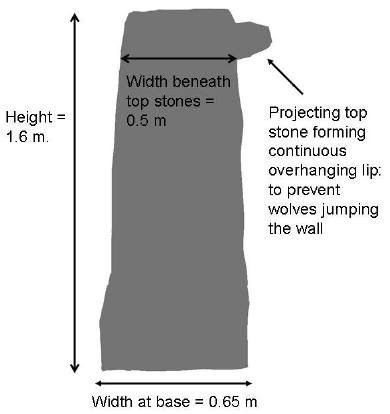 Profile of a medieval double dry stone wall at Winskill with the original top stones intact, this was part of the infield boundary built circa 1300. The projection formed by the overhanging top stone was intended to prevent wolves jumping into the infield area.