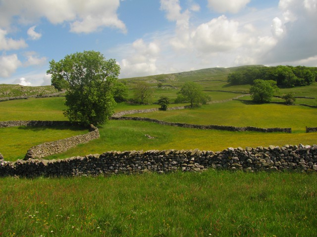 Dry Stone Walls at Lower Winskill